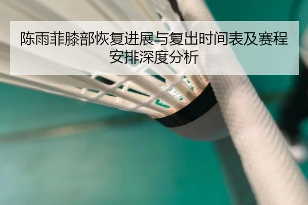 陈雨菲膝部恢复进展与复出时间表及赛程安排深度分析
